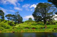 Private Tour: Waitomo Caves and The Lord of the Rings Hobbiton Movie Set Tour from Auckland