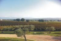 Private Tuscany Wine Tour Experience from Florence