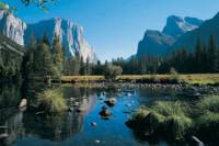 Private Yosemite National Park Day Trip from San Francisco