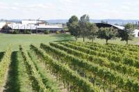 Puffing Billy Train and Yarra Valley Food and Wine Day Trip from Melbourne