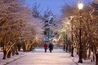 Punta Arenas City Tour