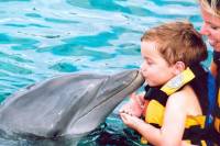 Punta Cana Dolphin Encounter