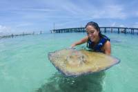 Punta Cana Sharks and Stingrays Encounter