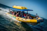 Rafting Tour to Whitehaven Beach