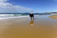 Rainbow Beach Horse Ride