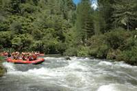 Rangitaiki River White Water Rafting from Rotorua