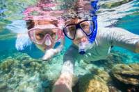 Riviera Maya Lunch and Snorkel Cruise
