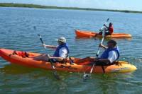 Rois Lagoon Kayak Tour in Falmouth
