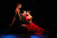 Rojo Tango Show and Dinner