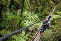 Rotorua Forest Zipline Canopy Adventure