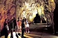 Rotorua to Auckland via Waitomo Glowworm Caves One-Way Tour