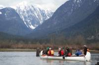 Salmon Run Canoe Adventure