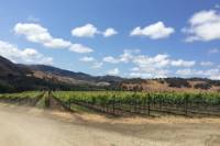 Santa Barbara Wine Lovers Tour