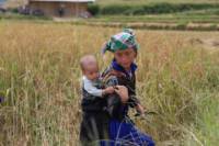Sapa Valley Biking Day Trip