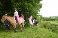 Scenic 1-Hour Horseback Ride Through Unspoiled Mountain Pastures in Tipperary