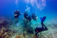 Scuba Diving Excursion in Punta Cana