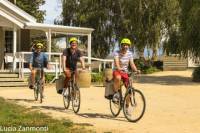 Self Guided Martinborough Wineries Bike Tour