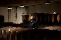Seppeltsfield Winery Tour and Tastings