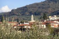 Settignano and Fiesole Hiking Excursion from Florence
