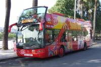 Seville City Hop-on Hop-off Tour