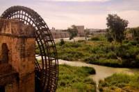 Seville, Cordoba and Granada Guided Custom Tour