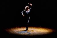 Seville Evening Sightseeing Tour with Flamenco Show