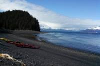 Seward Kayak Tour on Resurrection Bay and Caine's Head Hike