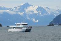 Seward Shore Excursion: Northwestern Fjord Sightseeing Cruise