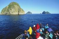 Seward Shore Excursion: Resurrection Bay Cruise Including Lunch on Fox Island