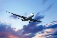 Shared Arrival Transfer: Tokyo Narita International Airport to Hotel