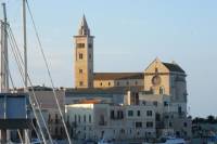 Shore Excursion from Bari: Trani Sightseeing and Traditional Olive Oil Mill Tour with Local Specialities Tasting and Shopping