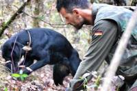 Siena Truffle-Hunting Experience