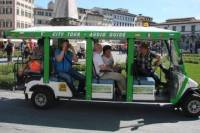 Sightseeing Walking and Electric Car Tour