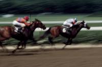 Singapore Turf Club: Horse Racing with VIP Lounge Access