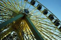 Six Flags Mexico City General Admission Ticket and Dolphin Program