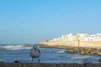 Small-Group Day Trip to Essaouira from Marrakech