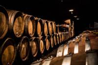 Small group full day tour in Burgundy