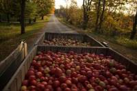 Small-Group Half-Day Normandy Cheese and Cider Tour from Caen