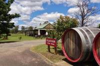 Small-Group Hunter Valley Wine and Cheese Tasting Tour from Sydney