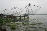 Small-Group Kochi Bike Tour