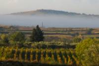 Small-Group Languedoc Terrasses du Larzac Wine Tour With Lunch from Montpellier