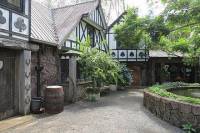 Small-Group Mt Tamborine Village and Winery Day Trip from Brisbane