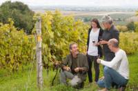 Small-Group Quebec Wine Tour from Montreal with Optional Gourmet Lunch and Cheese Tasting