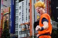 Small-Group Tokyo Otaku Experience Tour
