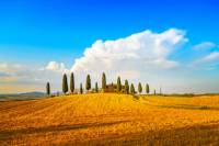 Small-Group Tuscany Wine Country Day Trip from Florence Including Wine Tasting and Lunch