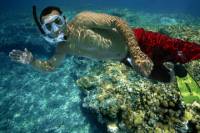 Snorkel and Sunset Sail: Rum n' Reggae