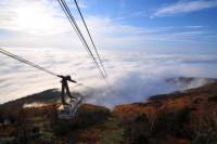Snow Monkey and Ropeway Day Trip in Nagano