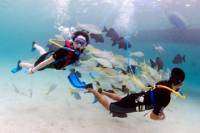 SNUBA Dive Experience in Montego Bay