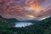 Sonoran Desert Eco-Tour from Scottsdale