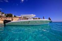 St Maarten Shore Excursion: Snorkeling and Speed Boat Tour